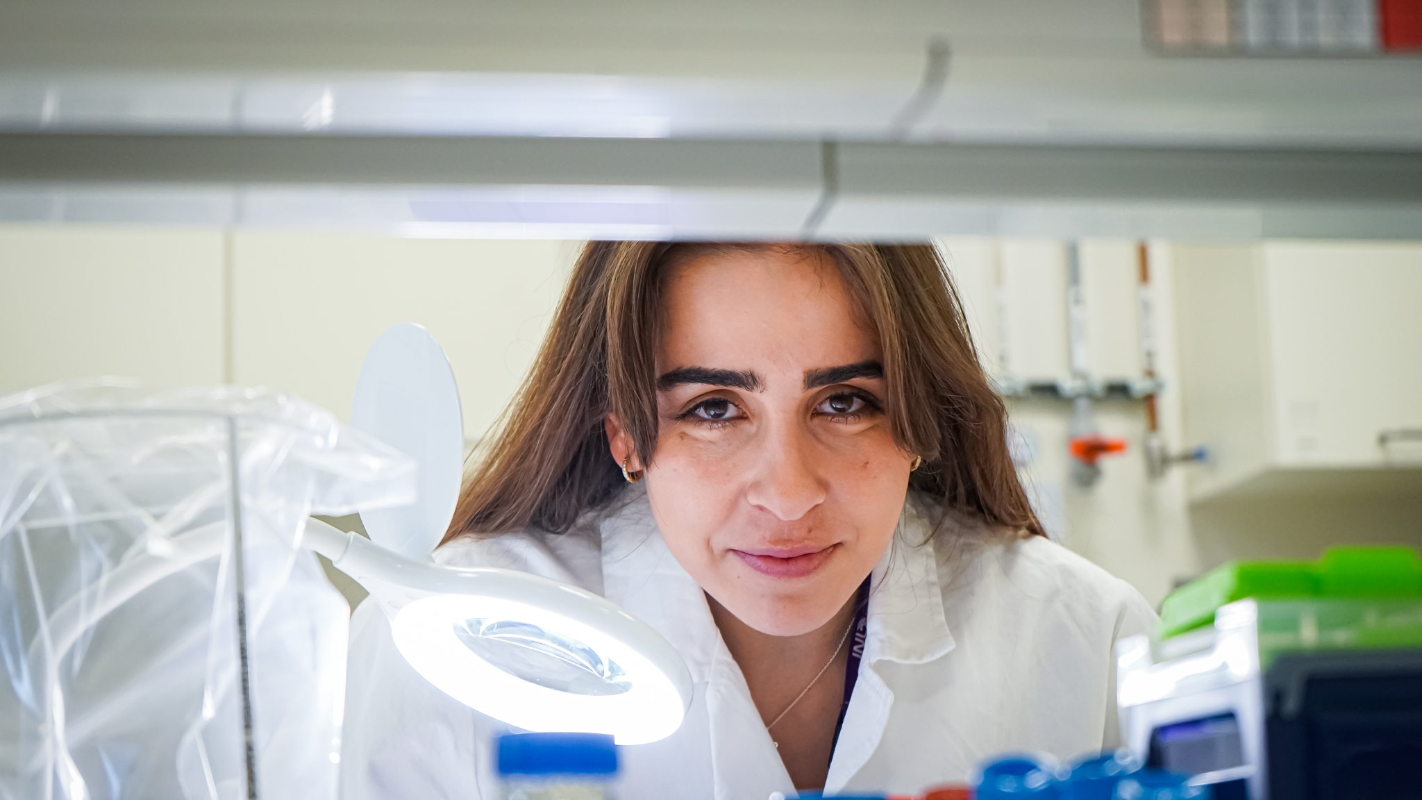 Alexandra Teixeira, developing diagnostic tools tailored for accurate MRD diagnosis