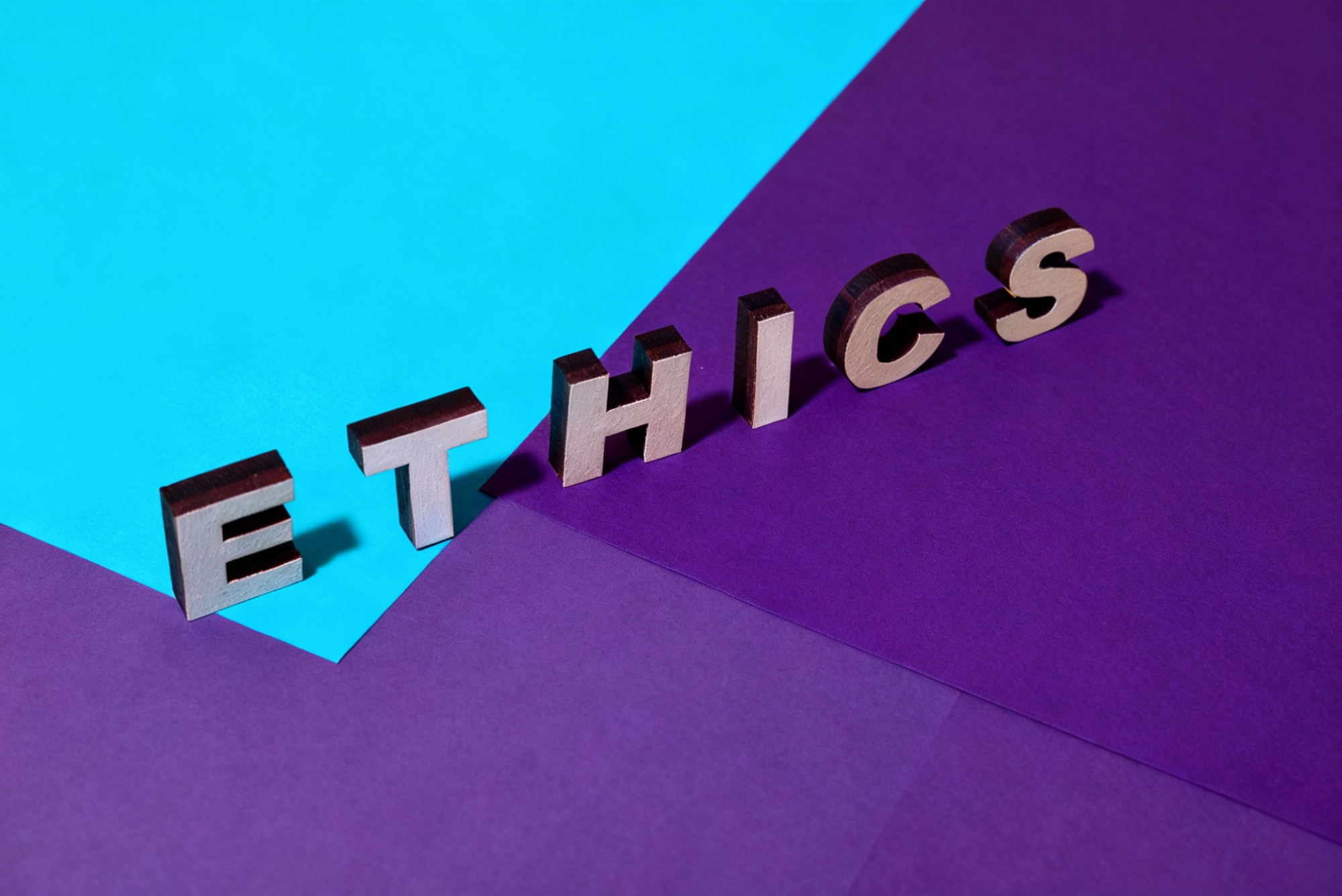 Research Ethics Committee